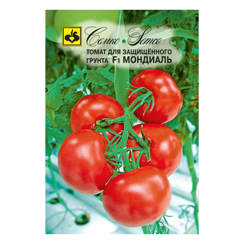 ������ ������ ������ ����� �������� F1 5�� ����� ������ (�����) ����