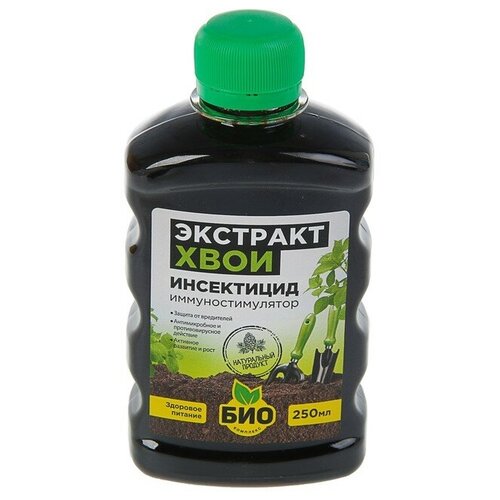 ������ ������ �������� ���� 