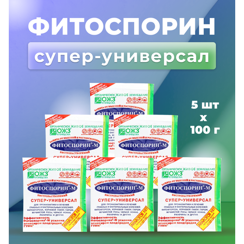 ������ ������ ��������� ����������� ����� ��� ������������ � ������� �������� , �������� ����������-� �����-��������� , ����� 5������� ����