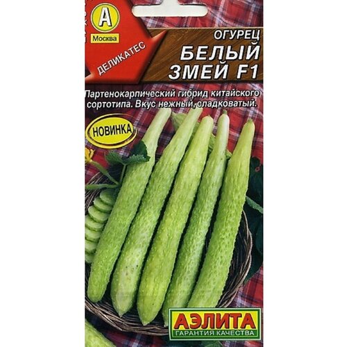 ������ ������ ������. ������ ��������� 