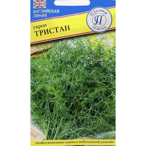 ������ ������ ������ ����� ������� 1� (�������) ����