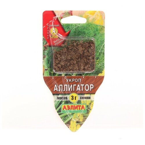 ������ ������ ������ ����� 