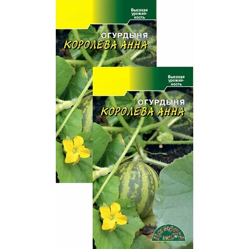 ������ ������ �������� �������� ���� (8 �����), 2 ������ ����