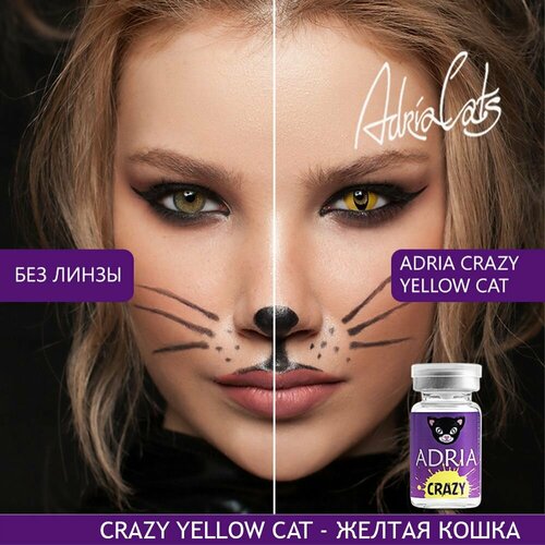    ADRIA Crazy, 1 ., R 8,6, D 0, yellow cat, 1 .   -     , -,   