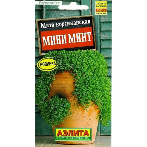 ������ ������ ���� ������������ ���� ���� (3 ��������) ����