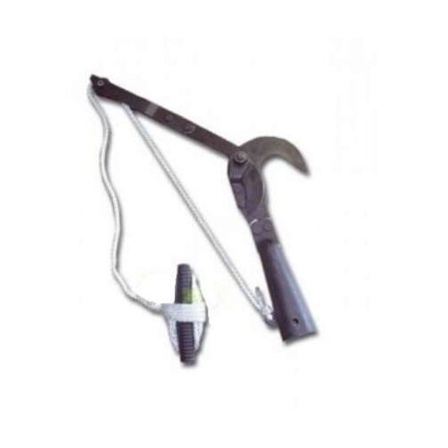 ������ ������ ������ �������-���� 010124 38 ����