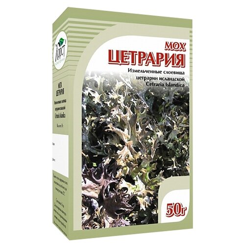 ������ ������ ����� �������� ��������, 50 � ����