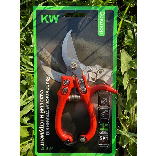 ������ ������ �������, ������� ���������� ��� ������, ��������, ������ /���������� �����/ ����