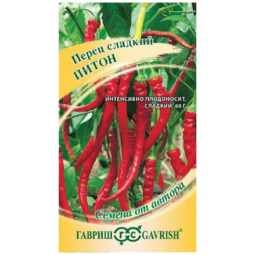 ������ ������ ������, ������, �����, �����, 15 ����� ����