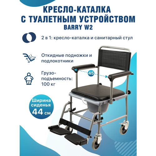 ������ ������ ������-������� � ��������� ����������� W2 5019W2P ����