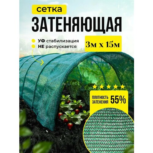 ������ ������ ����� ���������� 55% ��� ������, �������, �������, ������ 3� � 15� ����