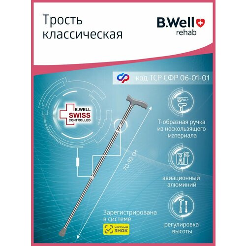 ������ ������ ������ B.Well WR-411, ������: 94 �� ����