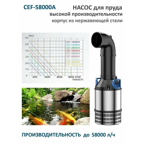 ������ ������ ����� ��� ����� CEF 58000A ������� ������������������ ����
