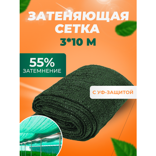 ������ ������ ����� ���������� �������� 55 %, 3�10� ��� ������, ������, ��������, �� ������, ��� �������, ��� ������ ���� ������� ����