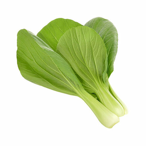   Click And Grow   Click And Grow Pak Choi 3 .    Click And Grow   