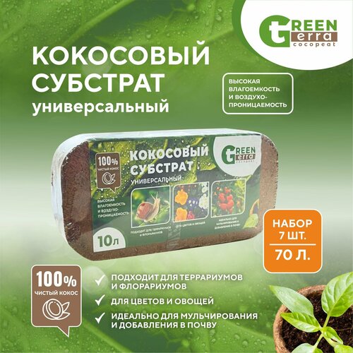    (  7   10  ) Green Teera   -     , -,   