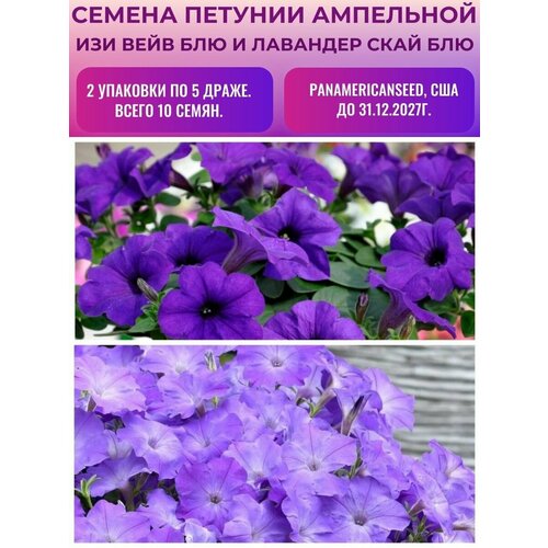 ������ ������ ������� ��������� ��� ���� 2 �������� �� 5 �����: ��� � �������� ���� ��� ����