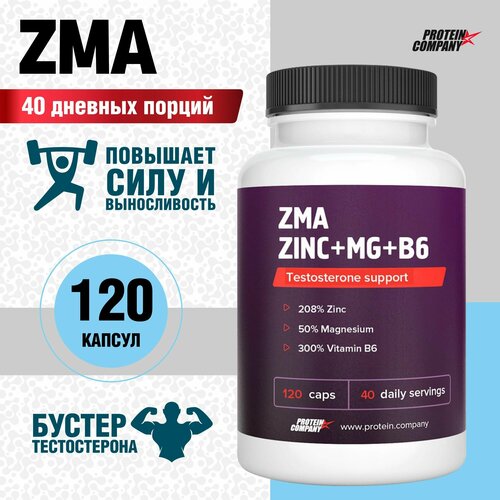  ZMA+ Zn+Mg+B6.  , ,  / /6, 40 , 120 .  776    -     , -,   