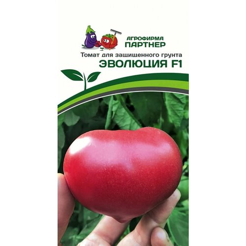 ������ ������ ������ ������ ��������� ������� 