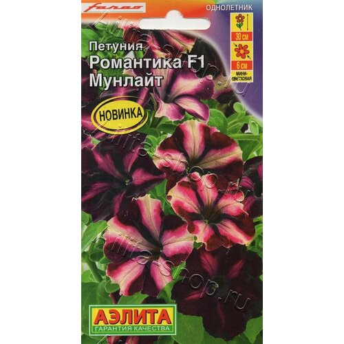 ������ ������ ������� ��������� ������� F1. ������ ����