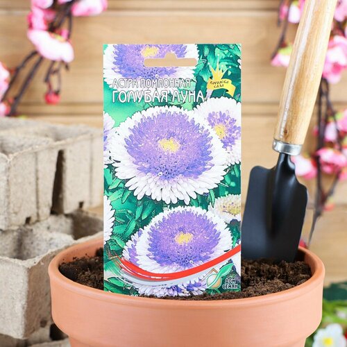 ������ ������ ������ ����� ��������� ������� ���� 100�� (� �����) ����