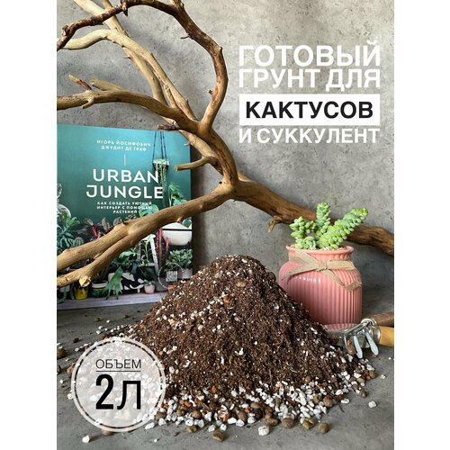 ������ ������ ������� ����� ��� ����������� � �������� Terracotta Plants � �������� 2 ����� ����