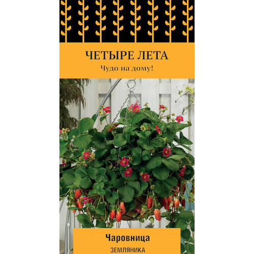 ������ ������ ��������� ��������� 5��. (�����) ����