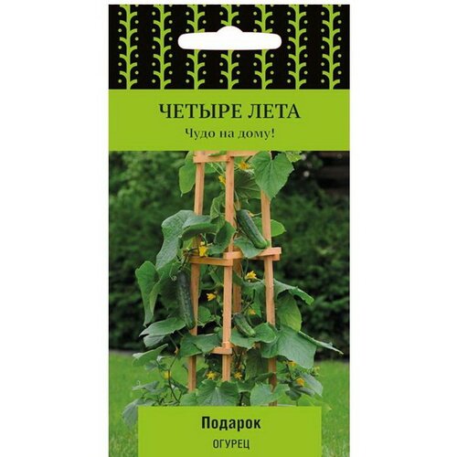 ������ ������ ������ ����� ������ ���� ������ ������� F1 5 ��., 10 ��. ����