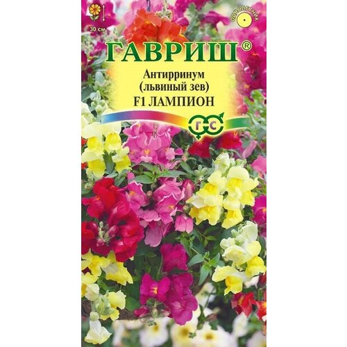 ������ ������ ������ ������ ������� ��� ��������� ������� 5 ��. ����