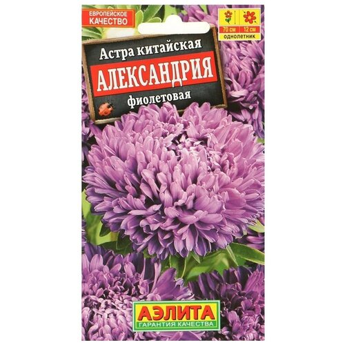 ������ ������ ������� ����� 