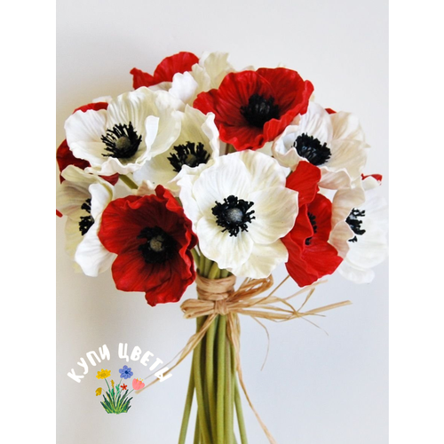������ ������ �������� ������, ���� �����, ������� RED and WHITE MIX (5 �������) ����