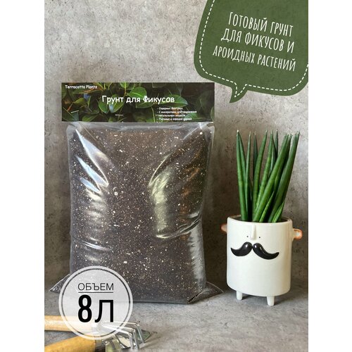 ������ ������ ������� ����� ��� ������� � �������� �������� 8 ������ Terracotta Plants ����