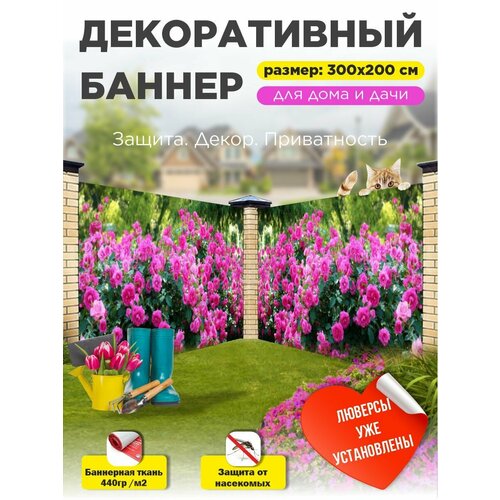 ������ ������ ��������� ������ �� ����� 300 �� � 200 �� � ��������� ����