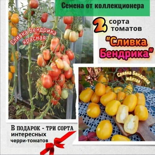 ������ ������ ������ ������ ��������, ������� � �����, ������������� �����, � ������� -��� ���������� ����� ����� ����