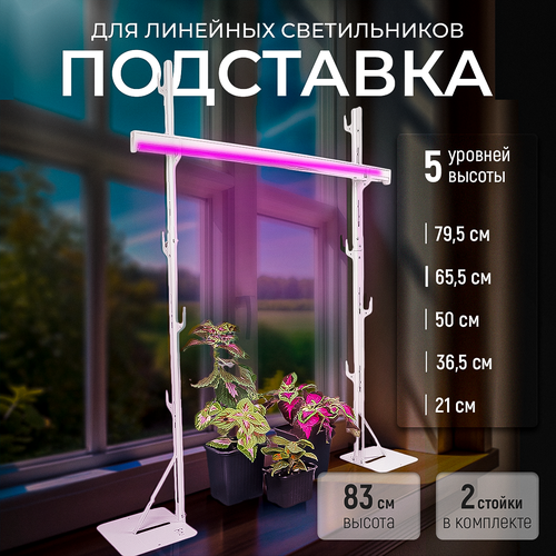 ������ ������ ��������� ��� ���������, 5 �������, ��������� ��� ��������� 83 �� ����