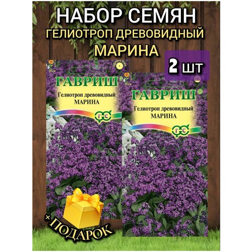 ������ ������ ������ ������ ������, ��������� ������, 2 �� ����