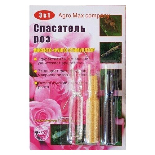 ������ ������ ��������� ���, �������-�����-����������, ����� 3 � 1 ����