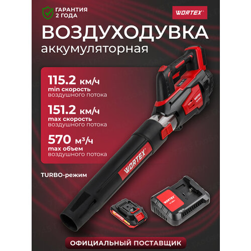 ������ ������ ������������ �������������� WORTEX BB 2018 D � ������������� � �������� ����������� (1333739) ����
