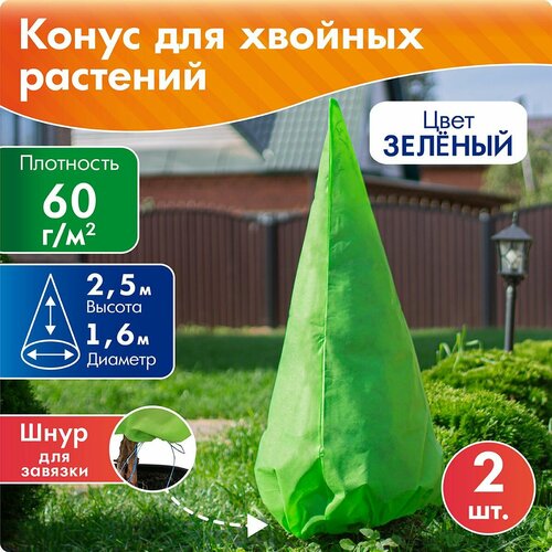 ������ ������ ����� �� ��� �� ���� 2,5 �*1,6 �, 2 ��, ������� ����