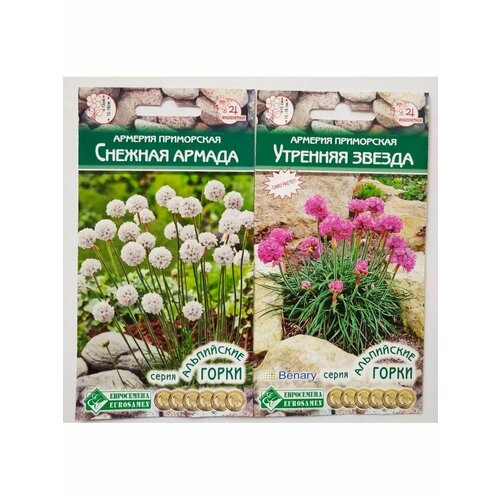 ������ ������ ������� ������� ������ � �������� ������ ����