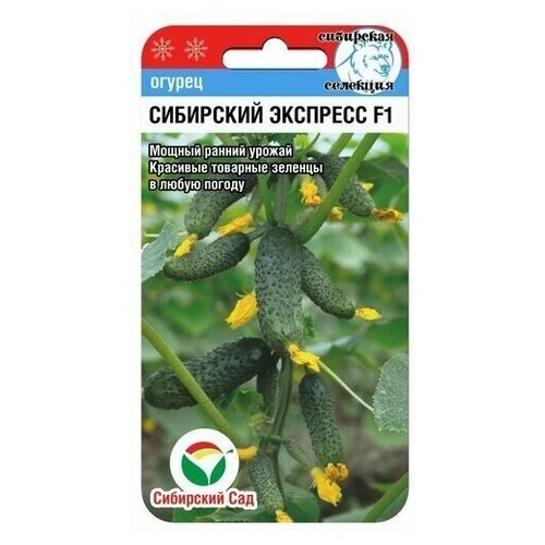 ������ ������ ������ ��������� ��� ������ ��������� �������� F1, 1 ��. �� 7 ��. ����