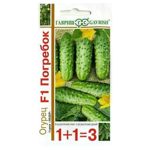 ������ ������ ������ 