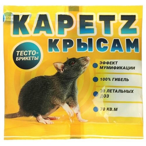 ������ ������ ����� - ������ �� �������� 