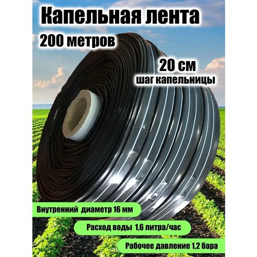 ������ ������ ��������� ����� ����� ��� ������ ������� �������������� 200� ����