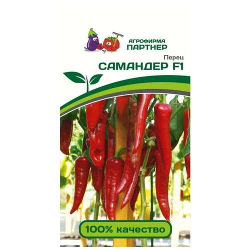 ������ ������ ������� ������ ����� ������� 