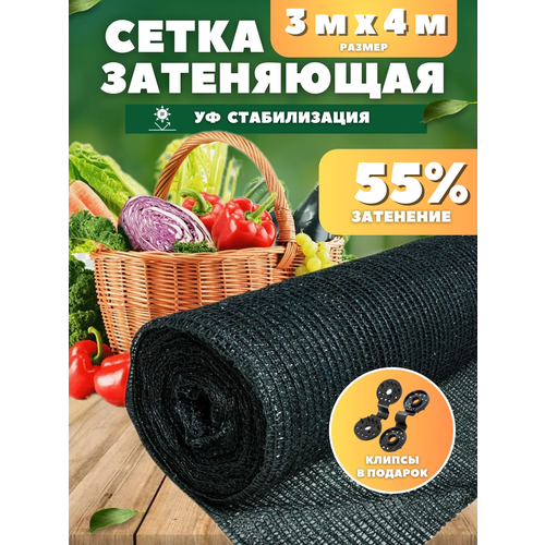 ������ ������ ����� ���������� �������, ��������� 55%, ������ 3�4� ����