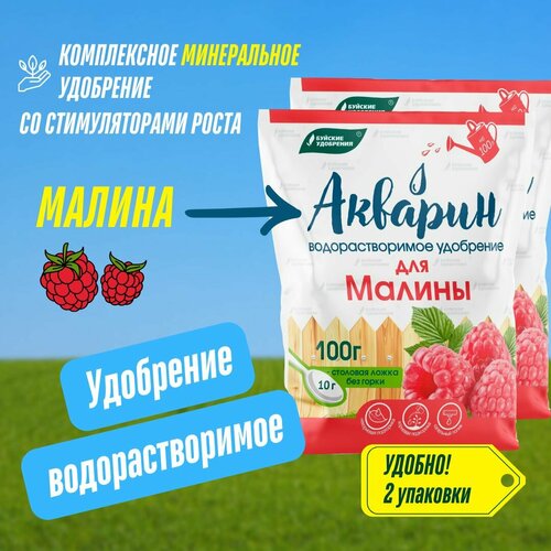 ������ ������ ����������� ��������� ������� ��� ������ 2 �������� �� 100 �� (200 ��), ������� ��������� ����