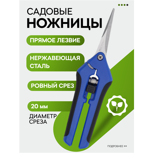 ������ ������ ������� ������� ��� ������ � ������, ������� ��� ��� � ������� �������� ����