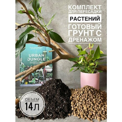 ������ ������ �������� ��� ��������� 14�. ������� ����� ��� �������� � ������ Terracotta Plants ����