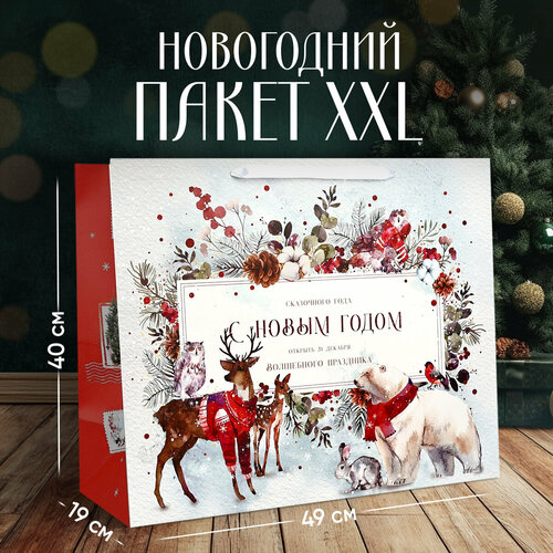 ������ ������ ����� ���������� �������� ������, XL 49 � 40 � 19 ��, ���������� ����� ����